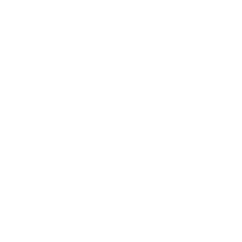 respect-icon